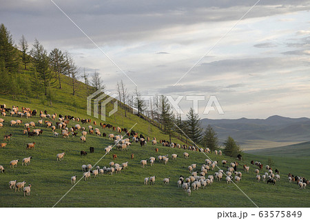 モンゴルの夕暮れの丘 63575849