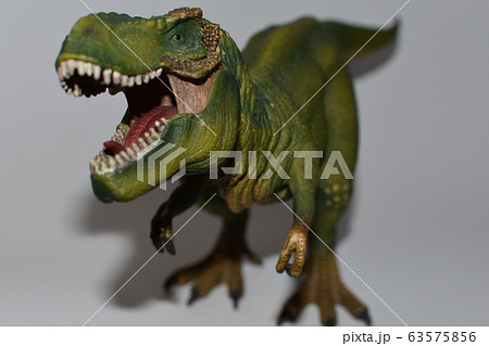 怒るティラノサウルス 63575856