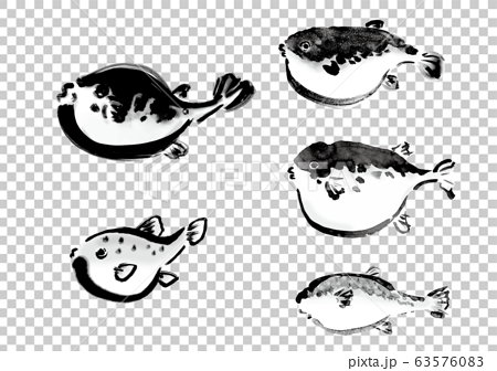線画 白黒 モノクロ 単色 生物のイラスト 魚 魚介類 フグ集合 河豚集合 ふぐ集合 のイラスト素材