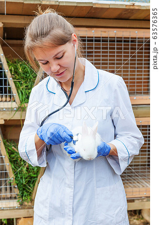 Happy young veterinarian woman with stethoscope Happy young veterinarian woman with stethoscope 63576365