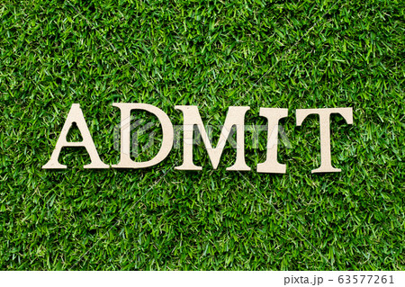 Wood alphabet letter in word admit on green grass Wood alphabet letter in word admit on green grass 63577261
