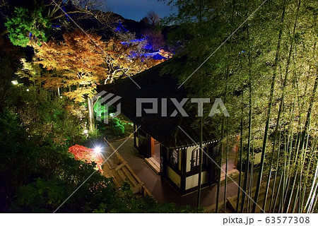 鎌倉・長谷寺　秋のライトアップ 63577308