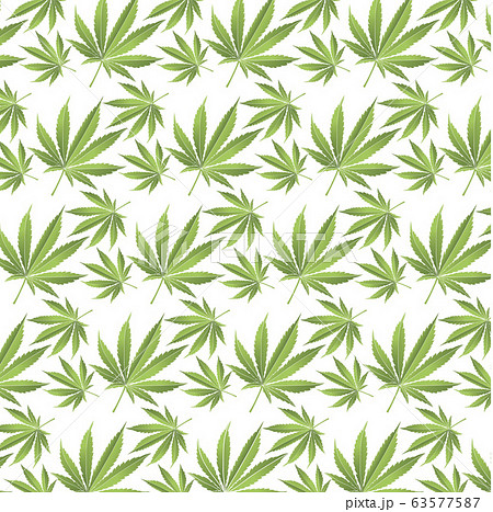 Cannabis leaf on green background. ESP pattern 63577587
