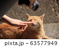尾道の猫 63577949