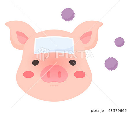 Csf 豚熱 豚コレラ 感染した豚のイラストのイラスト素材