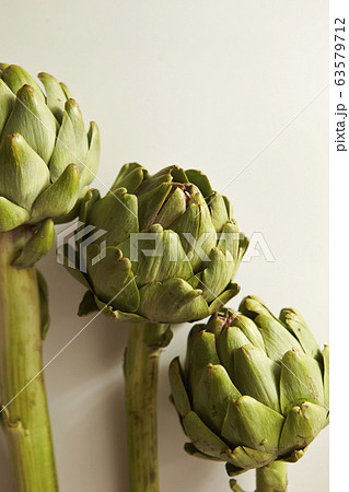 アーティチョーク 白背景コピースペースの写真素材