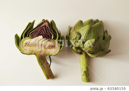 アーティチョーク 断面 アーティチョーク 断面 63580150