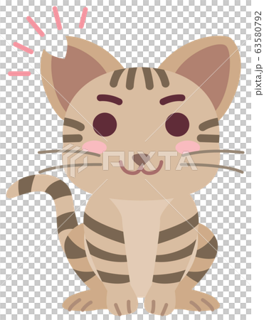 Local cat boy with castration surgery and ear cut 63580792