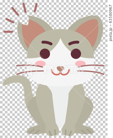 去勢手術と耳カットをした地域猫の男の子 去勢手術と耳カットをした地域猫の男の子 63580967