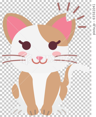 Local cat girl with sterilization and ear cut 63581041