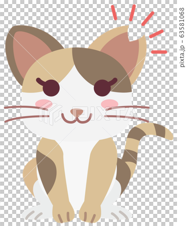 Local cat girl with sterilization and ear cut Local cat girl with sterilization and ear cut 63581068