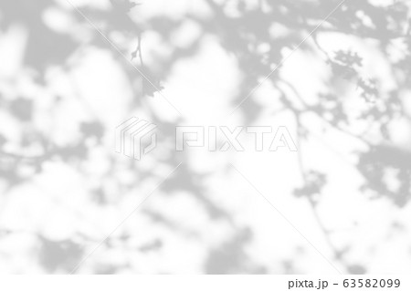 shadows of the tree branches on a white wall shadows of the tree branches on a white wall 63582099