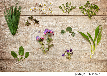 Crow garlic, common daisy, young nettles and other wild edible plants collected in early spring Crow garlic, common daisy, young nettles and other wild edible plants collected in early spring 63582452