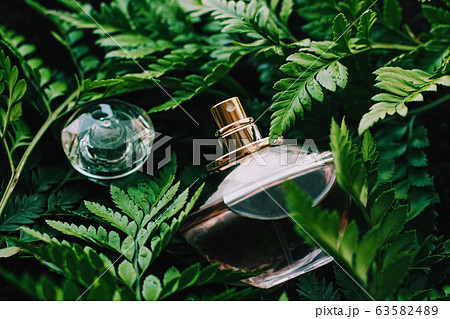 Perfume bottle with aromatic tropical scent in nature, luxury fragrance 63582489
