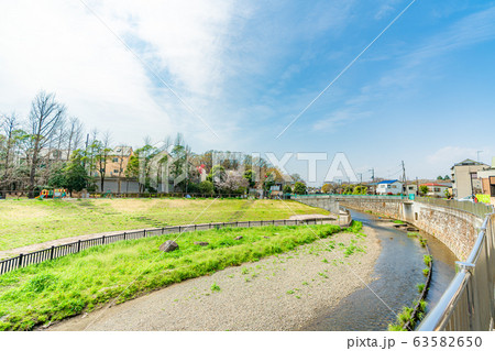 日本の春 杉並区 善福寺川と桜の風景 63582650