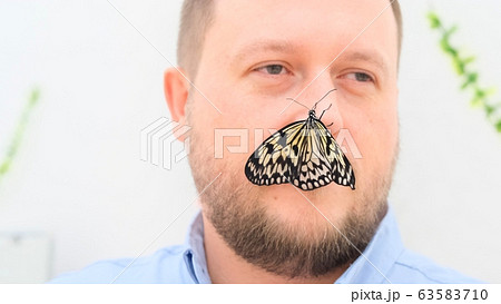 large brown butterfly sits on the nose of a male face, close-up. Copy space large brown butterfly sits on the nose of a male face, close-up. Copy space 63583710