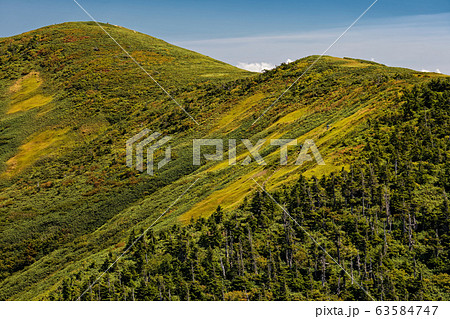 割引岳から見る初秋の巻機山本峰 63584747