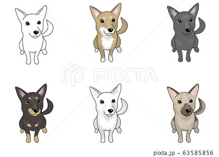 様々な犬の絵 和田三造による浮世絵「Akita — 秋田犬」