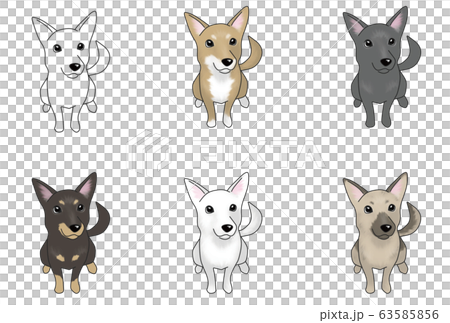 Dog 63585856