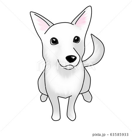 犬 犬 63585933