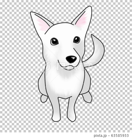 犬 犬 63585933