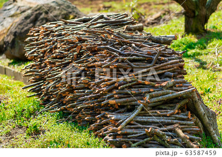 乾燥中の枝木 薪 宮城県大河原町の写真素材