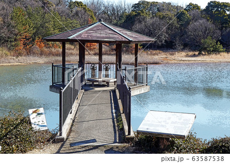 小幡緑地公園点景 63587538