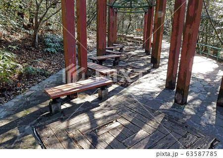小幡緑地公園点景 63587785