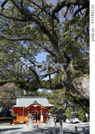 大牟田市熊野神社 大牟田市熊野神社 63588132