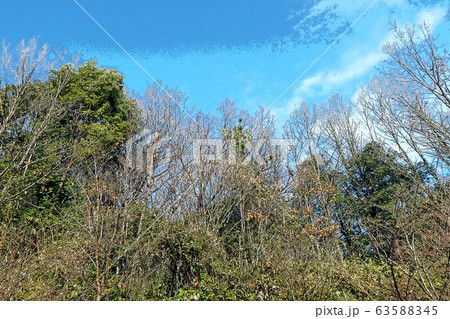 東山動植物園点景 63588345