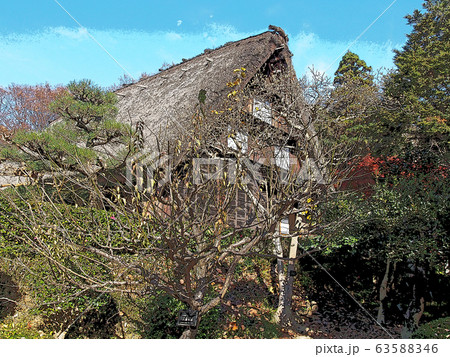 東山動植物園点景 63588346