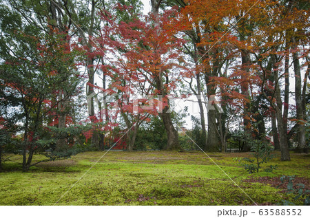 Autumn garden tree in Golden Pavilion Kinkakuji Autumn garden tree in Golden Pavilion Kinkakuji 63588552