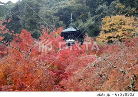 Colorful fall color leaves in Eikando Zenrinji 63588902