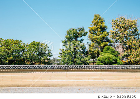 Toji temple traditional garden in Kyoto, Japan 63589350