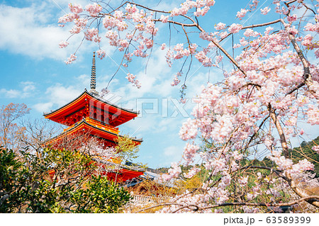 Kiyomizu-dera temple with cherry blossoms at spring in Kyoto, Japan Kiyomizu-dera temple with cherry blossoms at spring in Kyoto, Japan 63589399