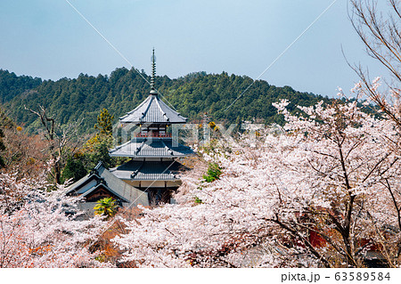 Yoshino mountain Kinpusen-ji temple with spring cherry blossoms in Nara, Japan 63589584