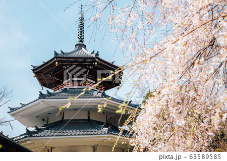 Yoshino mountain Kinpusen-ji temple with spring cherry blossoms in Nara, Japan 63589585