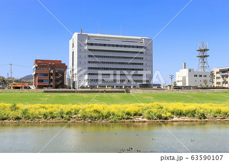 遠賀川河川敷の菜の花と直方市役所 福岡県直方市 遠賀川河川敷の菜の花と直方市役所 福岡県直方市 63590107