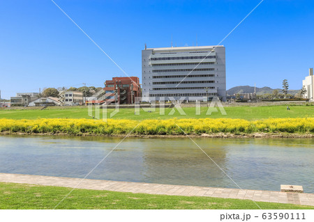 遠賀川河川敷の菜の花と直方市役所 福岡県直方市 遠賀川河川敷の菜の花と直方市役所 福岡県直方市 63590111