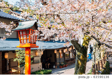 Kinosaki Onsen village with spring cherry blossoms in Hyogo, Japan 63590136