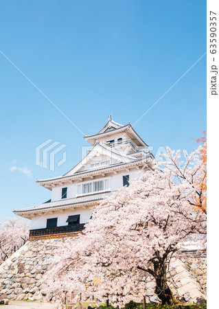 Nagahama castle with cherry blossoms in Shiga, Japan 63590357