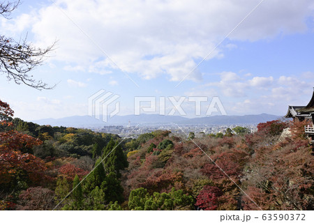 清水寺　錦雲渓 63590372