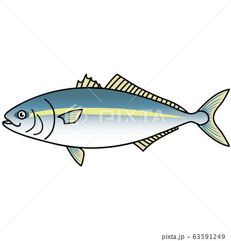 魚のイラストーブリ 魚のイラストーブリ 63591249