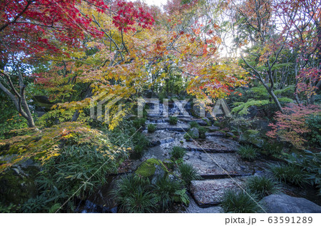 Waterfall and red autumn leave in Koko-en garden Waterfall and red autumn leave in Koko-en garden 63591289