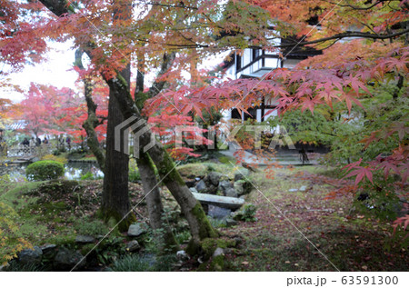 Colorful fall color leaves in Eikando Zenrinji Colorful fall color leaves in Eikando Zenrinji 63591300