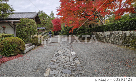 Autumn colored garden in Tenryuji temple 63591428