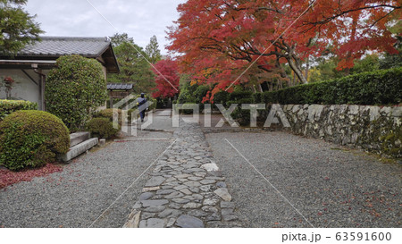 Autumn colored garden in Tenryuji temple Autumn colored garden in Tenryuji temple 63591600