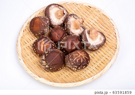 原木椎茸 63591859