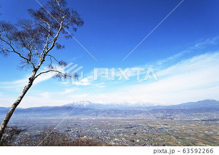 長野市　早春 63592266