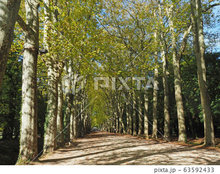 フランス ロワールの古城 シュノンソー城 フランス ロワールの古城 シュノンソー城 63592433